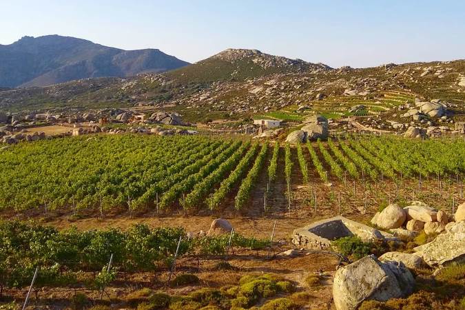γευσιγνωσια κρασιου στη τηνο