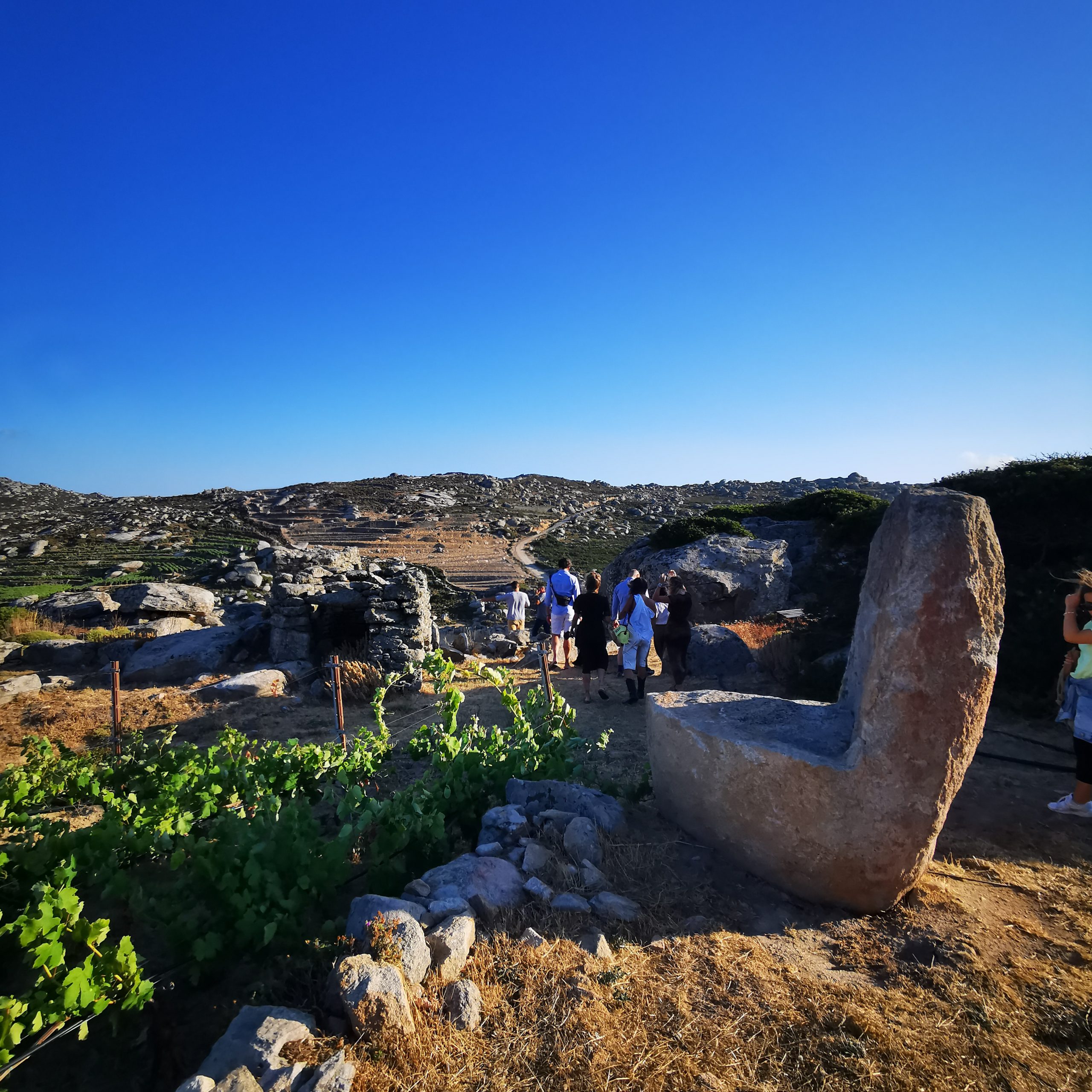 γευσιγνωσια κρασιου στη τηνο